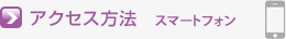 アクセス方法